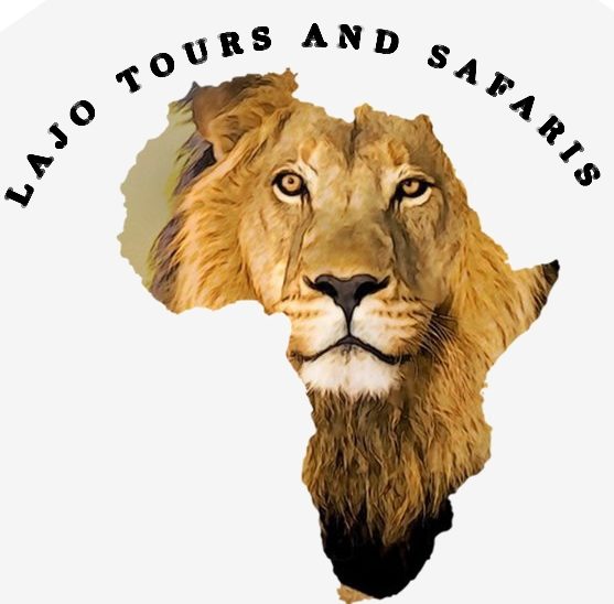 LAJO TOURS AND SAFARIS