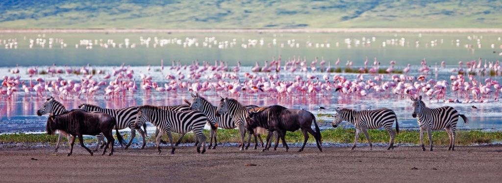 informazioni sui parchi e sulle aree protette lajo tours and safaris